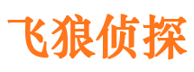 玛纳斯侦探调查公司